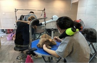 宠物上门喂养服务，让你的创业之路充满爱与陪伴！