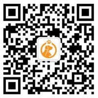 宠物服务寄养美容洗澡训练宠物用车上门喂养