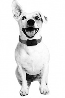 人民日报海外版