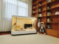 小宠科技推出新一代PILTON智能宠物舱，打造舒适放心的智能养宠新体验