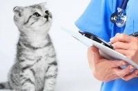 宠物互联网医院