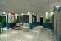 宠物医院选择指南：关注宠物健康需谨慎择医