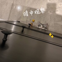 网购的宠物狗养几天就死？专家提醒：务必查验免疫证明！