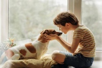 完成近2亿元B轮融资！宠物健康食品品牌卫仕获国泰财富基金重仓