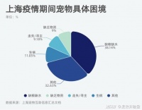 物资缺、转运急、就医难——数说疫情中的宠物救助