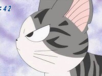 起底宠物免费领养骗局