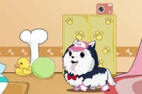 小狗选美大赛,小狗选美大赛小游戏,4399小游戏 www.4399.com