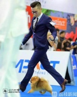 出境伴侣动物增多，大部分是去参加“选美”｜ 24h宠物情报