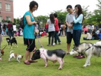 台中学校举办宠物选美大赛