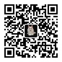 你的专属宠物世界