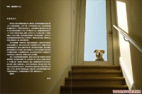 【最有爱的摄影比赛】“给爱犬的一封信”主题图文比赛