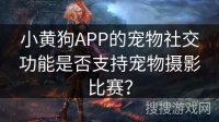 小黄狗APP的宠物社交功能是否支持宠物摄影比赛？
