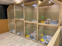 目前国内宠物市场现状及前景分析