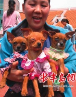 宠物运动会昨开幕 百余狗狗上演超级“派对”