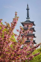 好潮啊！我们又有新公园可以逛啦！