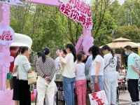 观潮车 赏电影 看萌宠 逛市集