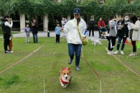 文明养宠新风尚！这场“宠物运动会”太cool了