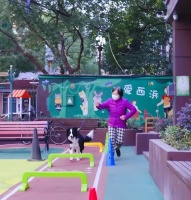 这场家门口的“萌宠运动会”，妙趣横生！