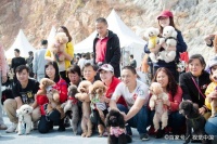 2019中国南京宠物文化节举办，奉上一场精彩绝伦狂欢盛宴！