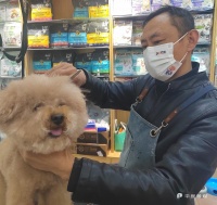 春节宠物市场：萌宠洗护寄养迎来“小高峰”