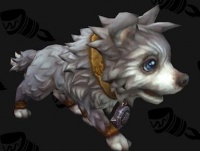 魔兽世界2019冬幕节宠物获取方法汇总