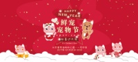 鲜宠宠物节 欢喜过大年