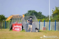 广东省第五届宠物文化节暨酷贝e族首届宠物欢乐节