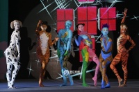 杭州宠物节 性感人体彩绘博眼球