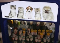 2024中国（宁波）国际宠物用品博览会（宁波宠物用品展）