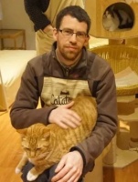 是猫选择了我做猫行为顾问。