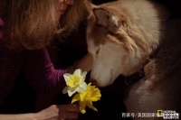 帮助应对人类焦虑的宠物，也会有压力