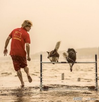 宠物行为正向训练大师——宁蔚