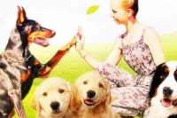 宠物营养师的主要工作