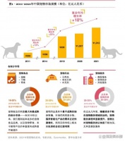 宠物行业有哪些值得报考的证书：宠物健康护理与宠物营养师