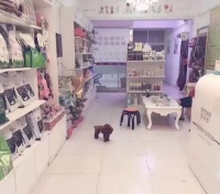 宠物店能不能寄售宠物