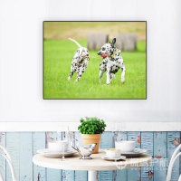 宠物店墙壁装饰画挂什么好？小型宠物店装修布局