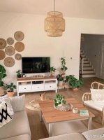 铲shi官们！收藏好这份宠物装修设计指南