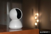 宠物家电新纪元：为爱猫打造科技与温馨的完美融合