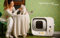 首发｜宠物智能用品出海品牌Furbulous完成天使+轮融资，锐合资本投资