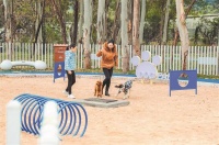 宝安的宠物公园要来了，目前全区公园总数219座，居全市第二