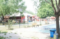 游朝阳公园宠物乐园