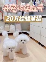 开宠物店血亏20W总结的经验！不看太可惜了