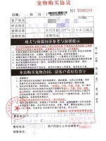 多名消费者称买到“星期宠”，涉事宠物店成立9个月涉诉9起