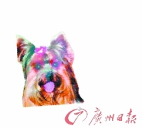 爱犬寄养宠物店离世 主人获精神损害赔偿