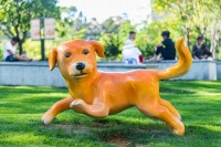 2024年深圳国际宠物展游玩攻略(时间、地点、门票)