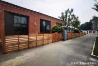 未正式开业就客流不断，这家宠物酒店怎么设计的？｜我的样板间