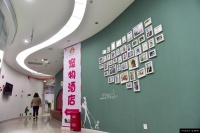 成都宠物酒店堪比五星级酒店 春节寄养一天150元已满房