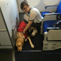 国内宠物酒店竟然已经发展到如此地步！