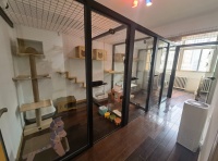 春节临近 “萌宠经济” 升温 宠物寄养“一位难求 ” 西安新闻网