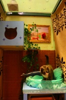 春节宠物寄养酒店“一床难求” 你过年会把爱宠送去哪?